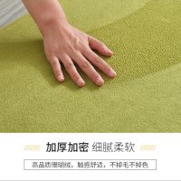 加厚吸水地毯卧室少女床边毯榻榻米飘窗满铺地毯客厅茶几地垫脚垫