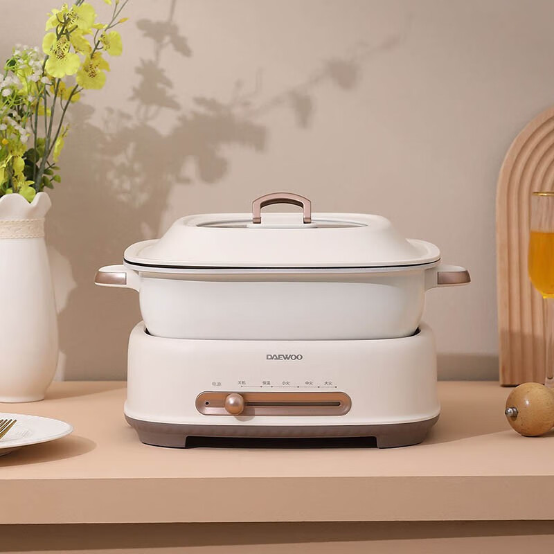 大宇家用6l大容量鸳鸯锅多功能分体式锅电火锅dyzg6l16暖阳白