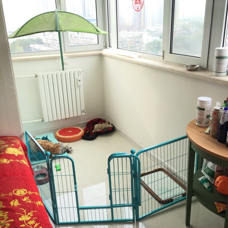 泰迪室内小型犬中型犬金毛大型犬狗狗笼子小狗宠物兔子栅栏高清大图