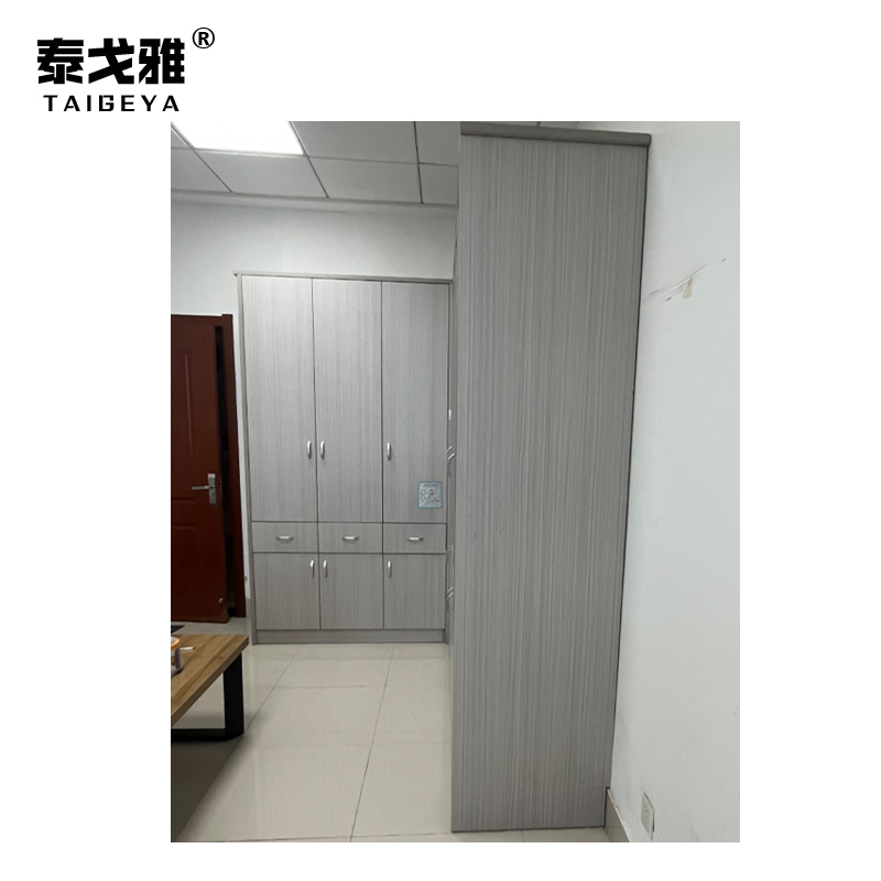 泰戈雅 文件柜 1.8x2.3x0.55m 个高清大图