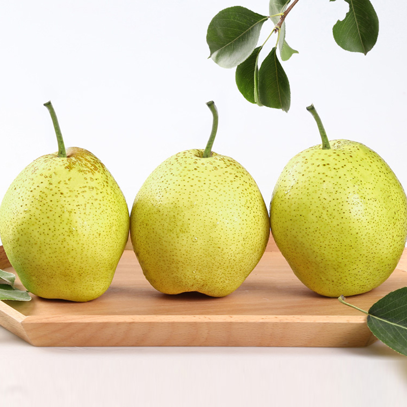 1号鲜客freshman河北新鲜雪梨9斤梨子新鲜水果