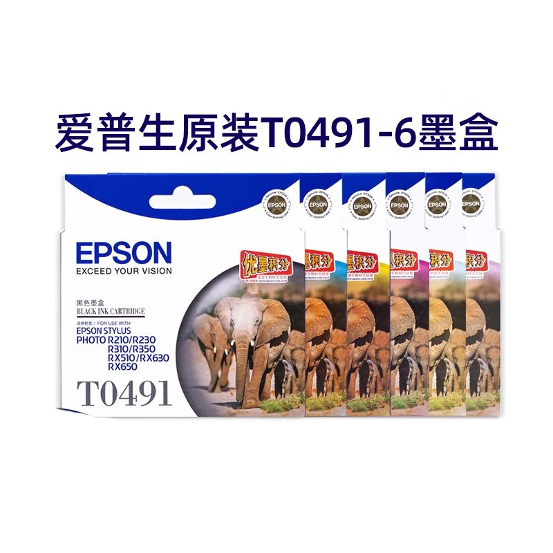 爱普生(EPSON)T0491墨盒 适用爱普生R210/R230/310/RX510/650 黑色高清大图