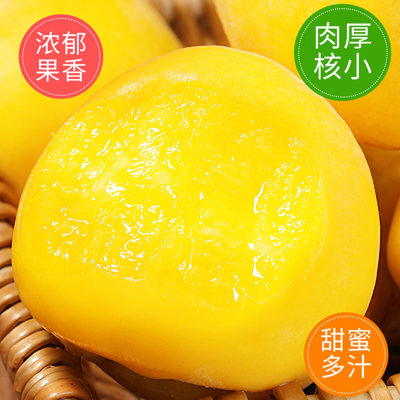 [西沛生鲜]蒙阴黄金油桃整箱净重4.5斤装 当季现摘蜜心新鲜水果 西沛