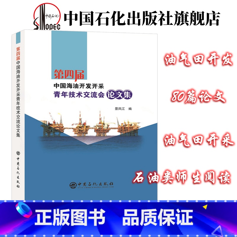 【正版】第四届中国海油开发开采青年技术交流会论文集 80篇论文编撰成册海上开发的工程科研现场和管理人员参考 中国石化