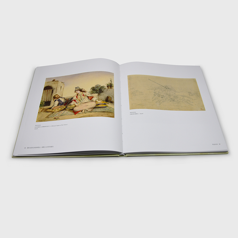 [正版]德拉克洛瓦的绘画笔记 浪漫主义杰作的诞生 150幅传世作品全览 杰作创作过程 绘画解析 艺术生涯 浪漫主义 大高清大图