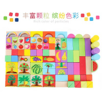 天启TQ积木 幼儿园3-6岁儿童玩具 男孩女孩生日礼物 110粒大颗粒 积木益智木制玩具