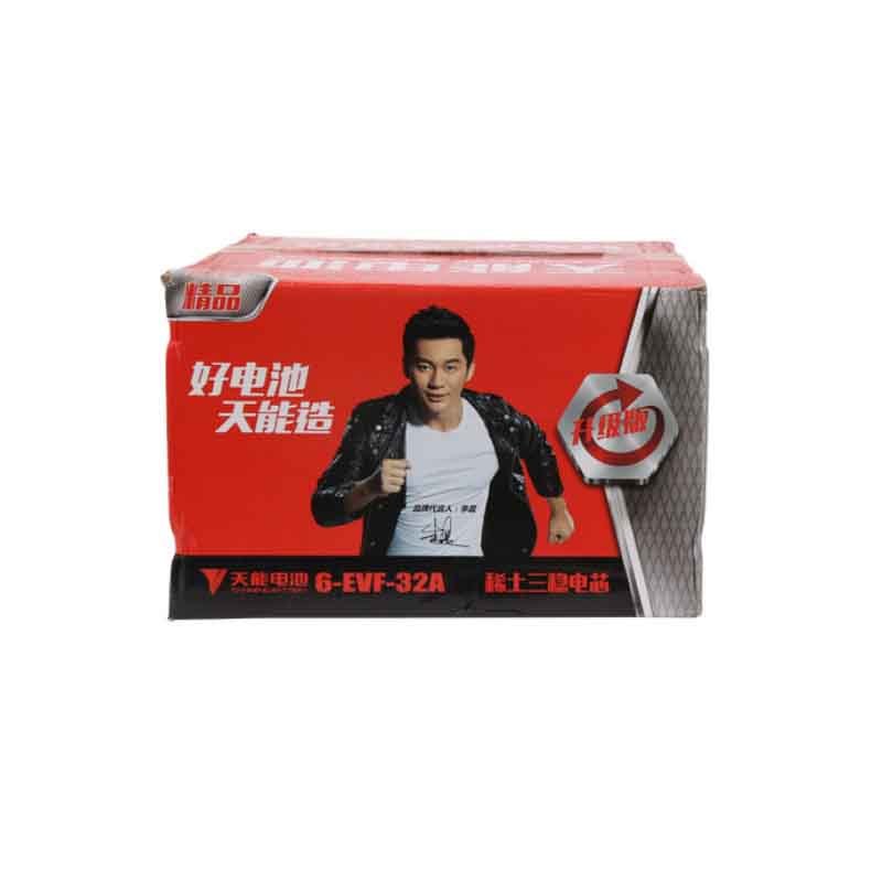 天能 电动车用密封铅酸蓄电池 48V 318mm*275mm*208mm 6EVF-32A