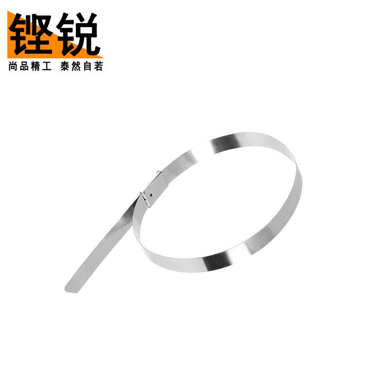 铿锐 不锈钢扎带 自锁式扎带高清大图