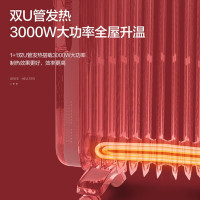 格力(GREE)电油汀取暖器 NDY19-S6130 家用 油丁电暖器 节能取暖器 干衣加湿暖气片 17片3000W油汀