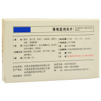 云丰 蒲地蓝消炎片 0.3g*48片/盒