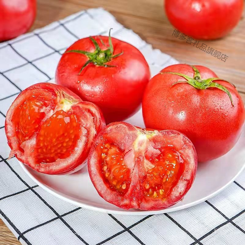 湛航云南大理自然成熟新鲜现摘沙瓤西红柿生吃番茄产地直销批发