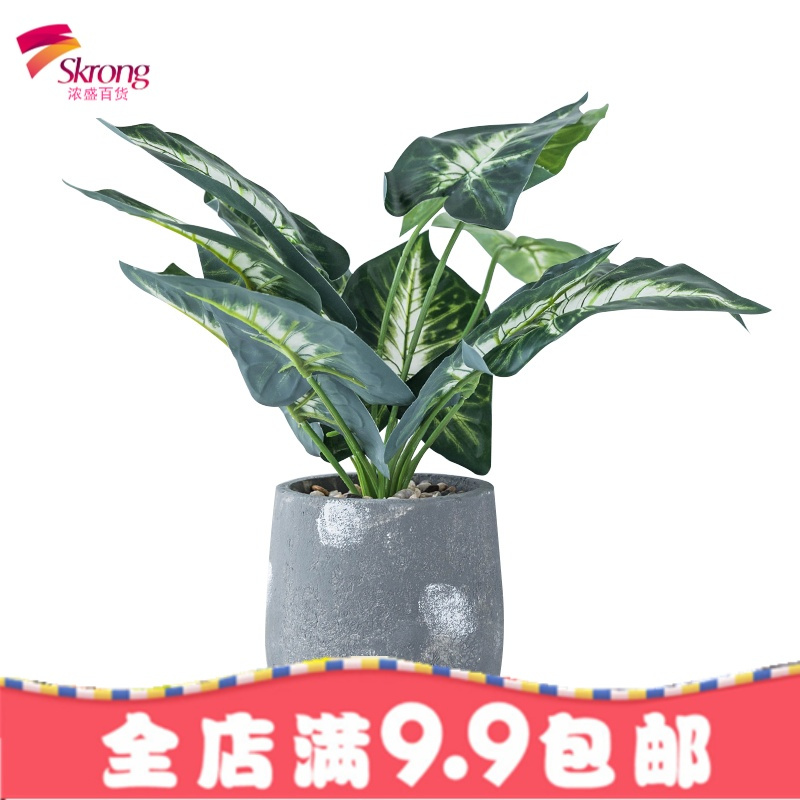 ins北欧创意仿真桌面小盆栽摆件室内办公室餐厅装饰绿植物盆景