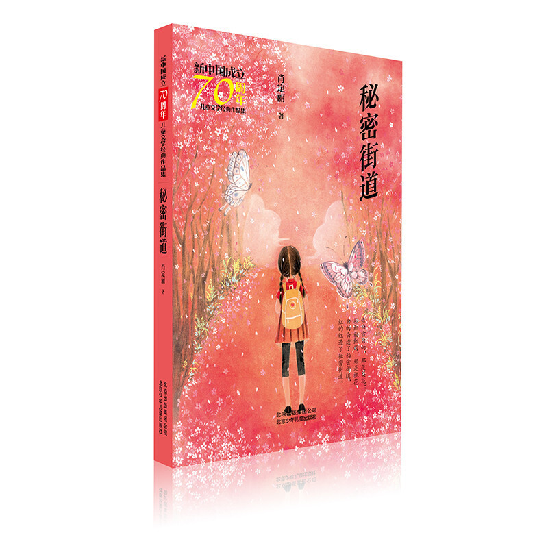 秘密街道 [正版]秘密街道 肖定丽著儿童文学作品集9-15岁青少年儿童文学阅读书籍儿童成长读物课外阅读书籍北京少年儿童出高清大图