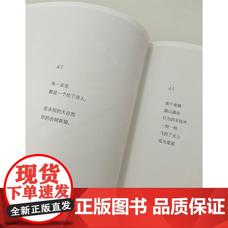 我在所有的秘密里爱你 蓝蓝/著 诗歌 纯粹出品 广西师范大学出版社高清大图