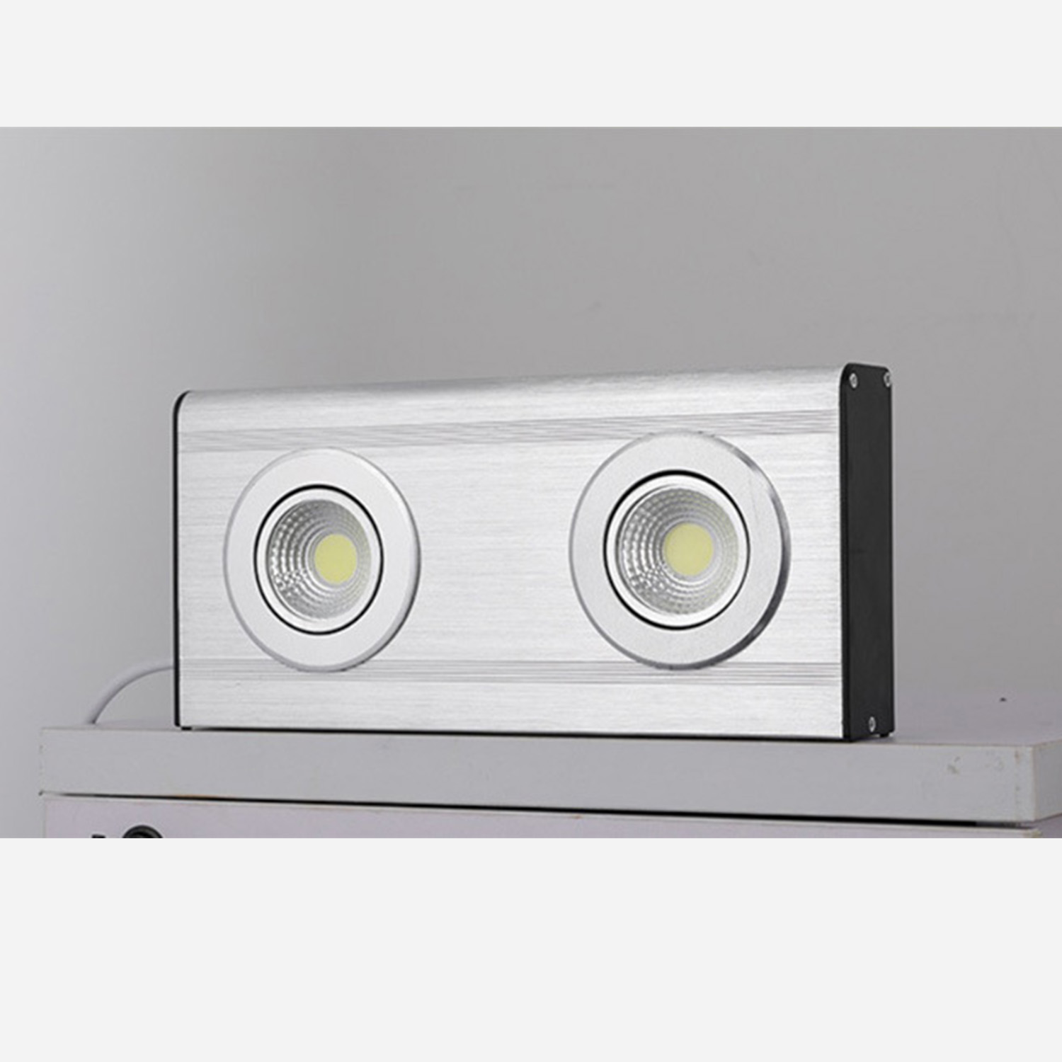 非赫电 FHBLD130-1 IP54 LED双头应急灯高清大图