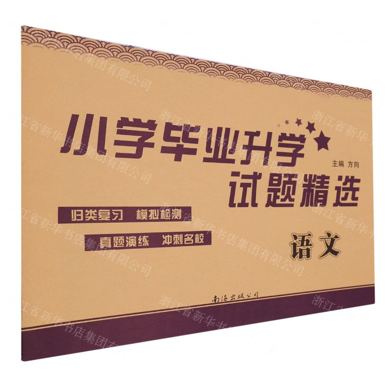 【N】语文/小学毕业升学试题精选-9787573506368