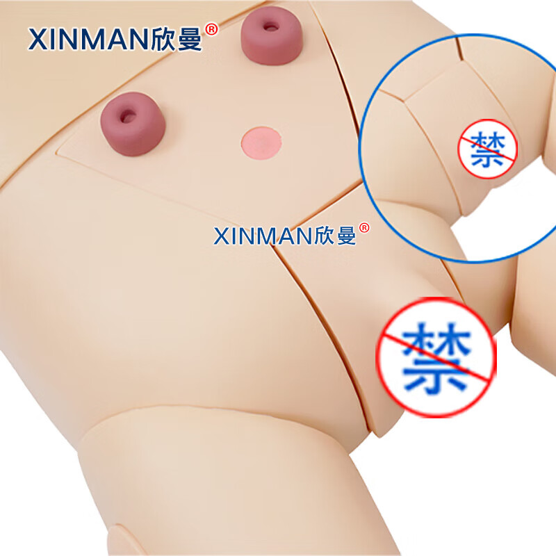欣曼科教 高级成人综合训练模拟人 综合护理人体模型 急救护理二合一功能 无线版含笔记本电脑XM-ALS879A高清大图
