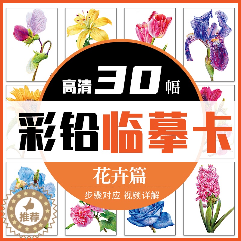 【醉染正版】彩铅临摹卡花卉篇2022一线美誉步骤对应美术绘画卡片兴趣高清原创