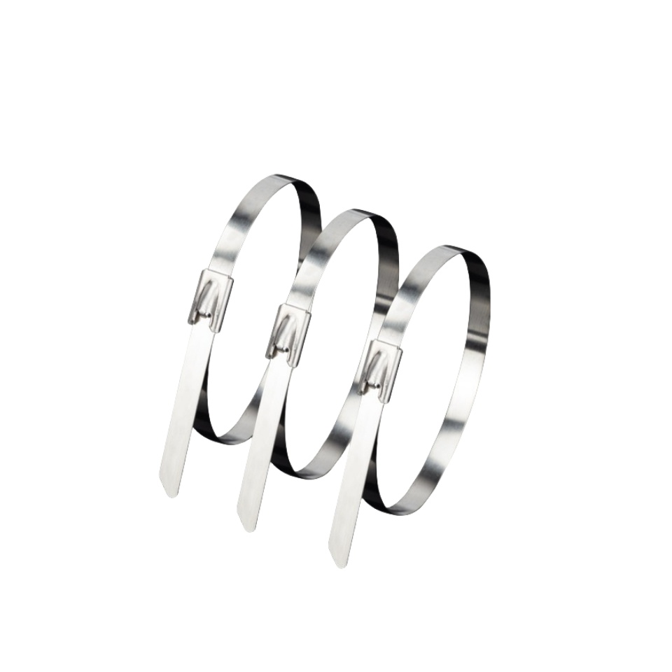 捷犀 不锈钢扎带 4.6*200mm100条/包高清大图