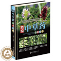 【醉染正版】正版 精编中草药原色图谱 林余霖 主编 医学中医 400余药物识别图片 常用的中草药原色图谱 中草药书籍