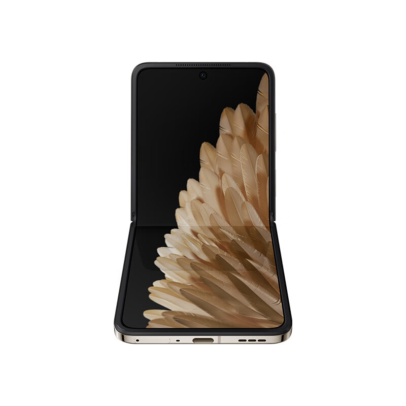 OPPOFindN2Flip 流金 16GB+512GB 120Hz镜面折叠屏 口袋折叠设计 5000万像素超清外屏自拍 全网通5G折叠手机 Find N2 Flip高清大图