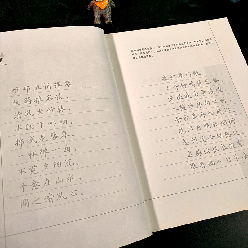 苏轼 [正版]旗舰规范楷书硬笔字帖:诗意人生(孟浩然) 中国绝美古诗词 成人学生钢笔书法字帖技法楷书练字帖书法基础练习字