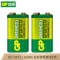 超霸(GP) 9V九伏1604G 6F22方形碳性电池烟雾报警器电池万用表话筒扩音器吉他等电池 9V电池2粒(绿)