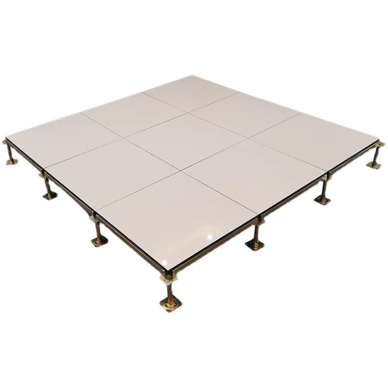 诚智旺 陶瓷面防静电地板 600*600*40mm/平方米图片