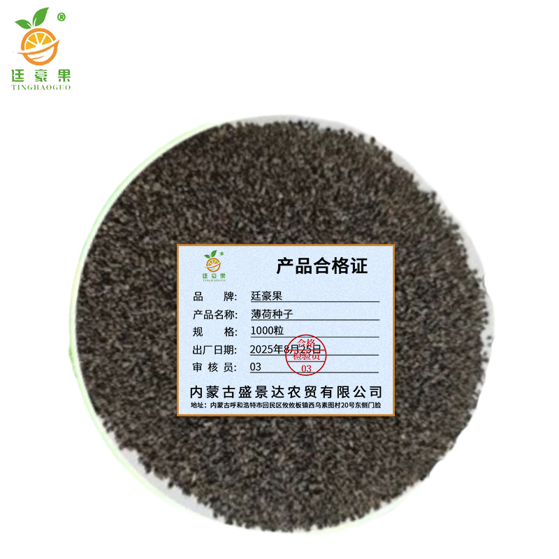 廷豪果 薄荷种子 1000粒/包高清大图