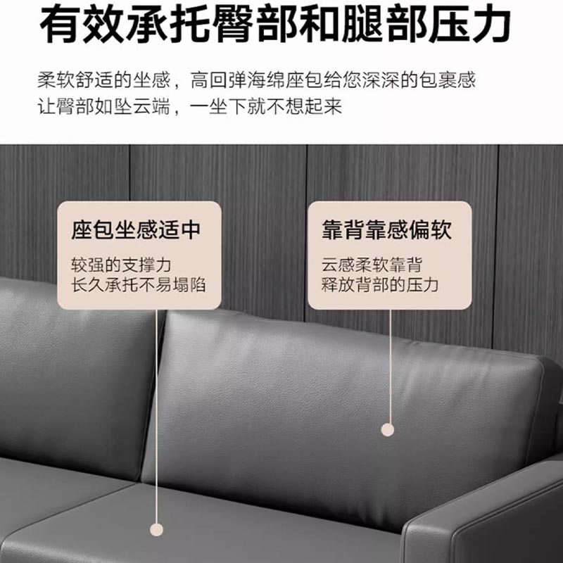 鑫龙悦沙发双人位个高清大图