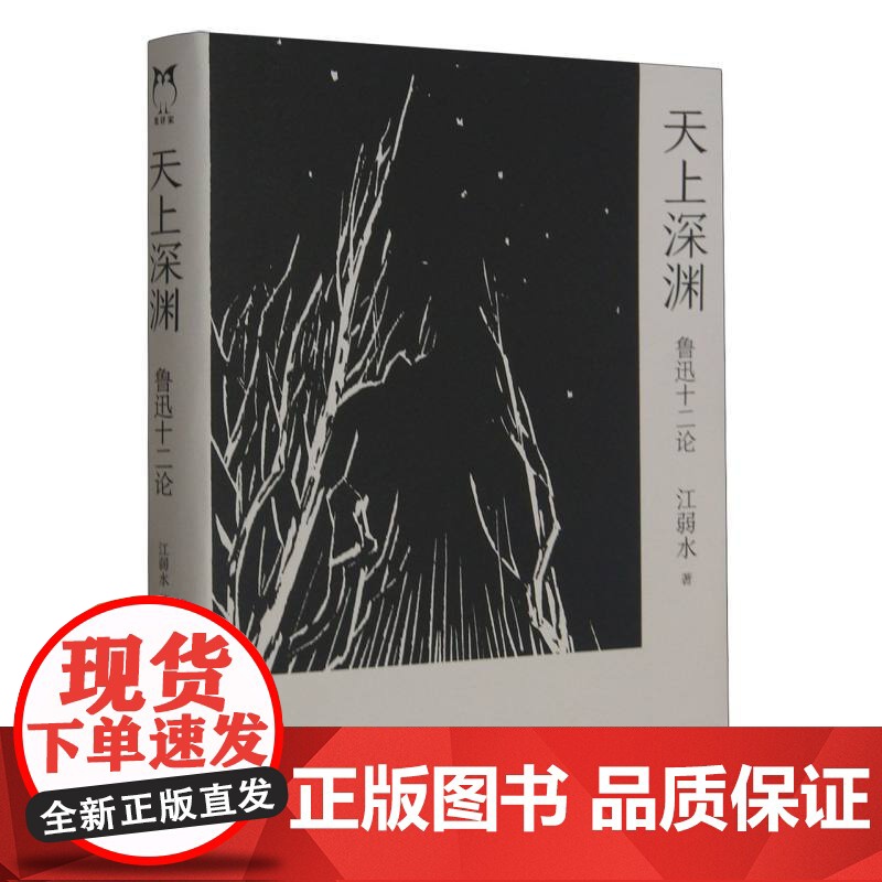 2023豆瓣年度书单]天上深渊:鲁迅十二论 江弱水著 野草呐喊朝花夕拾故事新编彷徨江弱水中国好书诗的八堂课赵延年木刻胡适高清大图