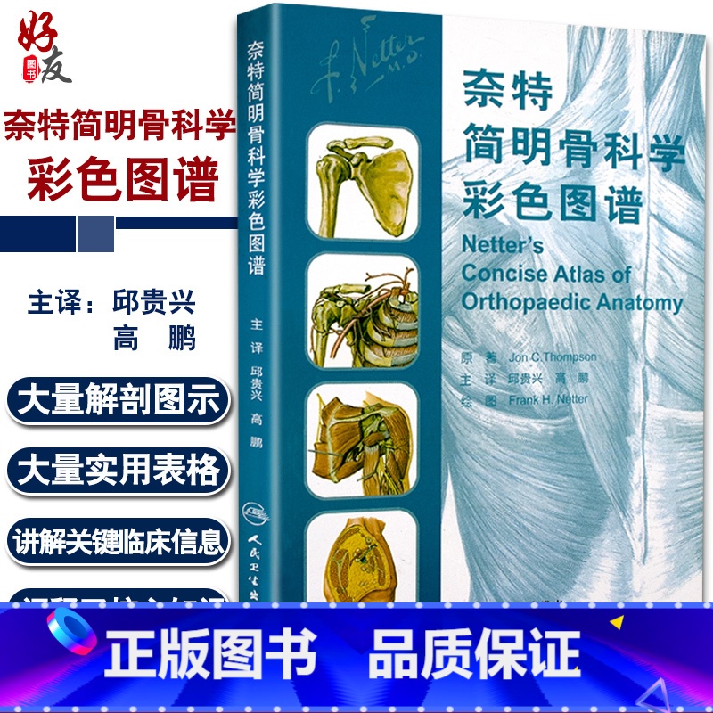 [正版] 奈特简明骨科学彩色图谱 邱贵兴 高鹏主译 医技学 医学图谱 骨科学 解剖学图谱 奈特人体解剖彩色图谱参考书高清大图