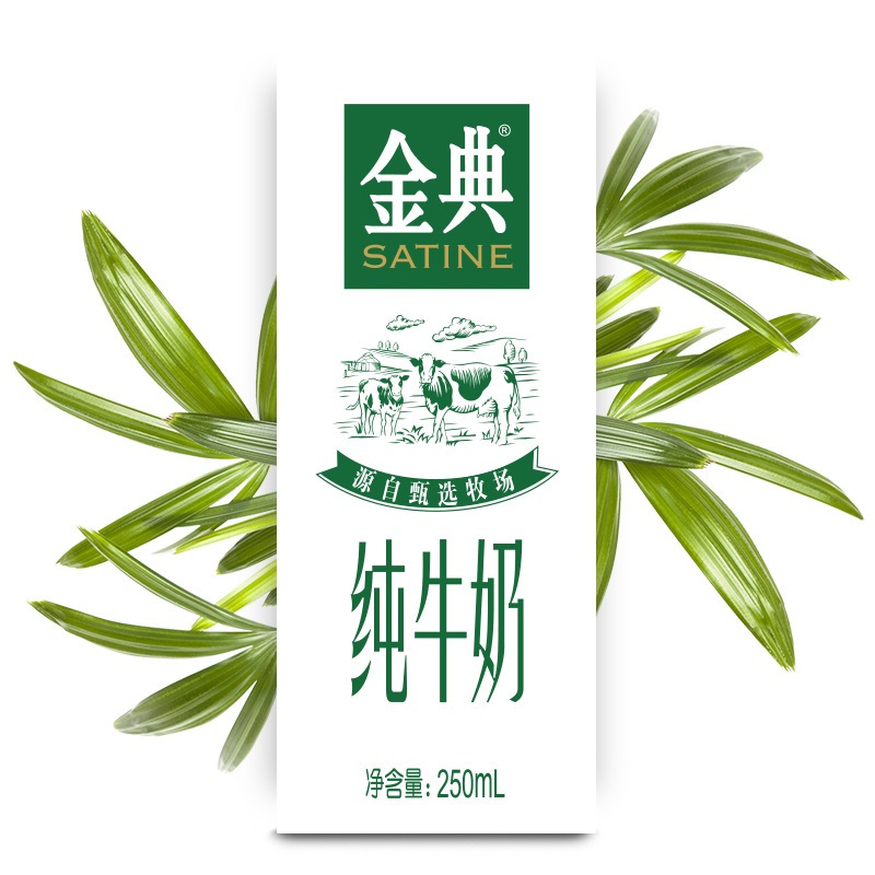 伊利 金典纯牛奶 250ml*24盒