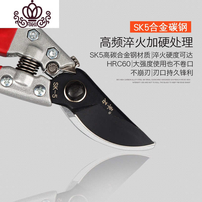 封后园艺剪刀修树枝果树剪花剪园林园艺工具剪刀粗枝修花高枝剪子家用