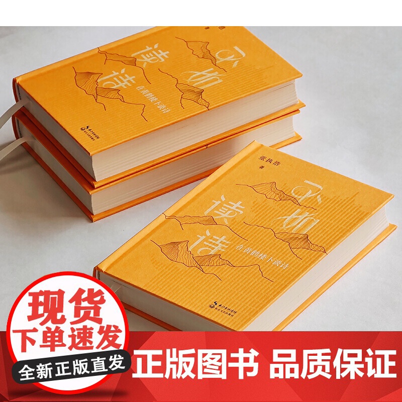 不如读诗鲁迅文学奖得主张执浩古典诗歌随笔集精装当代诗人张执浩与16位古代诗人的灵魂对话写尽诗词背后的曲折文心壮阔命运高清大图