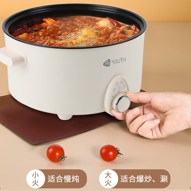 艾青春AIYOUth)家用大火力大容量多功能电火锅 5L AI-HG501高清大图