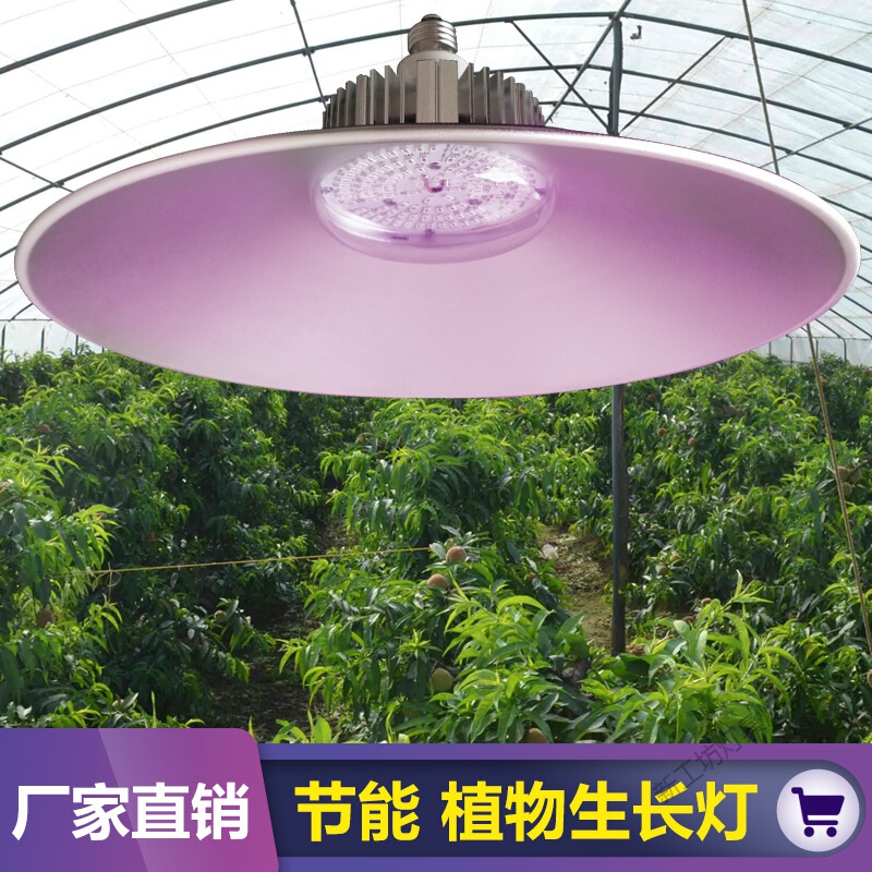 苏宁放心购 全光谱温室大棚植物补光灯 生长灯室内蔬菜瓜果草莓上色LED仿太阳补光灯高清大图