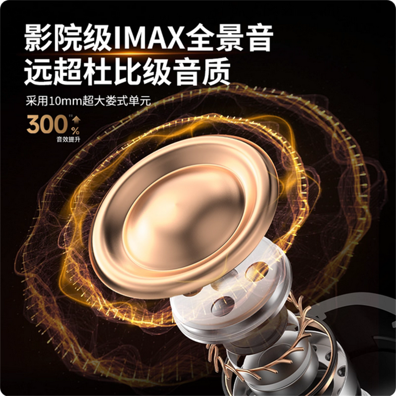 RJJT/罗杰特 [至尊黑金顶配]耳机高清大图