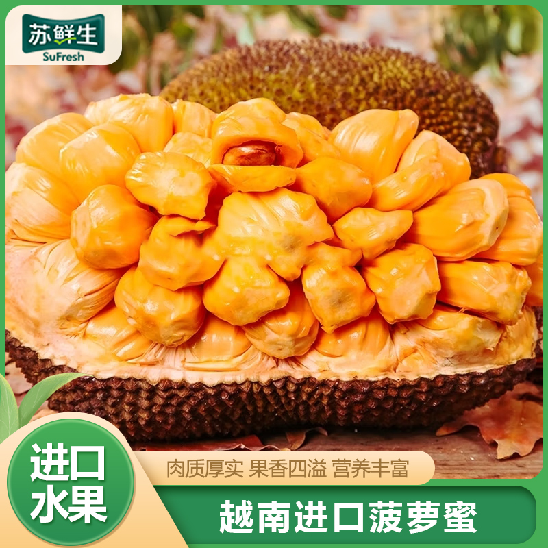 [苏鲜生]越南红肉菠萝蜜 新鲜水果 香甜可口 1个 净重10-12斤装 热带水果