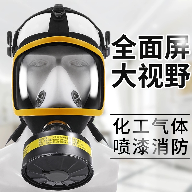 梅安-MA6700防毒面具喷漆专用全面罩化工气体口罩自吸过滤式高清大图