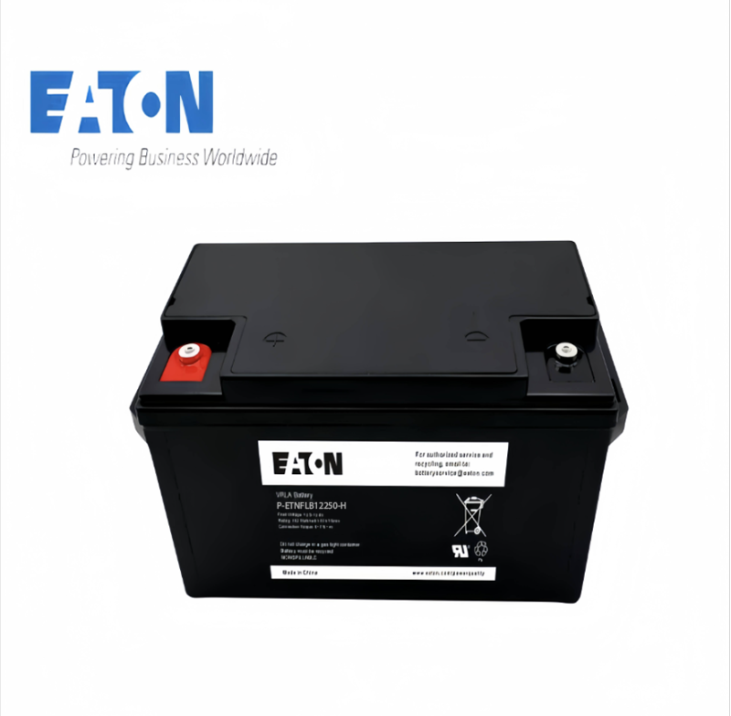 伊顿蓄电池P-ETNFLB12250-H高清大图
