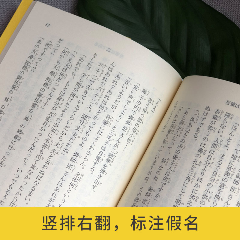 [正版]日文原版.我是猫(赠音频)日本大文豪夏目漱石的经典作品日本文学纯日语阅读日文原版小说高清大图