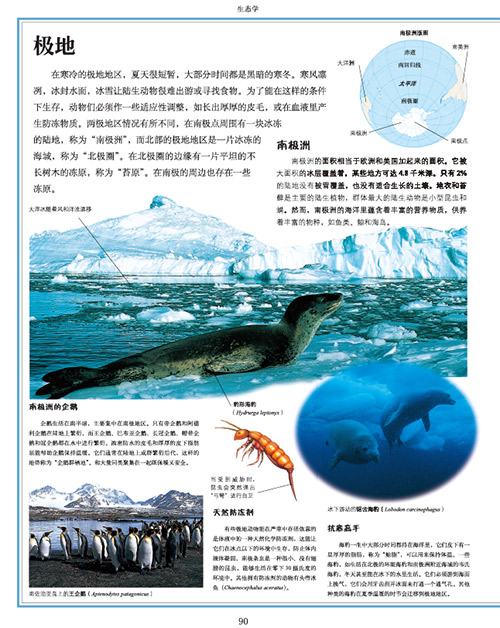 [正版]7-15岁DK 自然大百科 少儿自然图鉴百科全书幼儿动物植物科学知识书籍中小生学自然课外阅读 玩酷科普 书籍高清大图