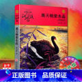 【正版】黑天鹅紫水晶(升级版)/动物小说大王沈石溪品藏书系 四年*课外阅读书目 小学生儿童文学 课外读物书 童升