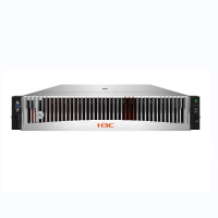 华三（H3C）R4930G5 信创2U服务器海光7255/64G/4T*8/1G阵列卡/4电口双电源