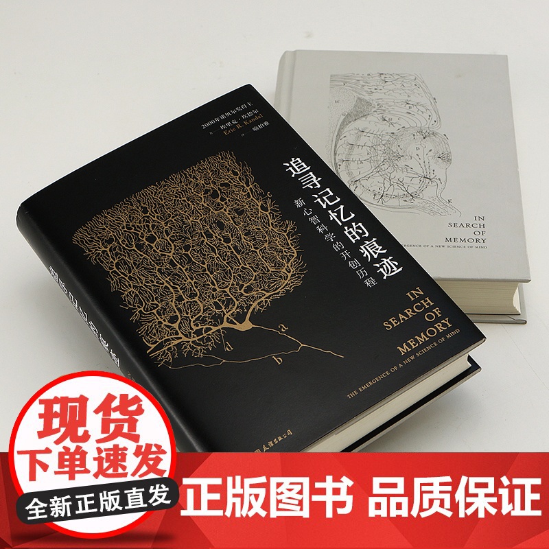 智慧宫丛书 追寻记忆的痕迹 十三邀许知远鲁白联袂 诺贝尔生理学奖医学神经科学家传记中学生课外科普书籍高清大图