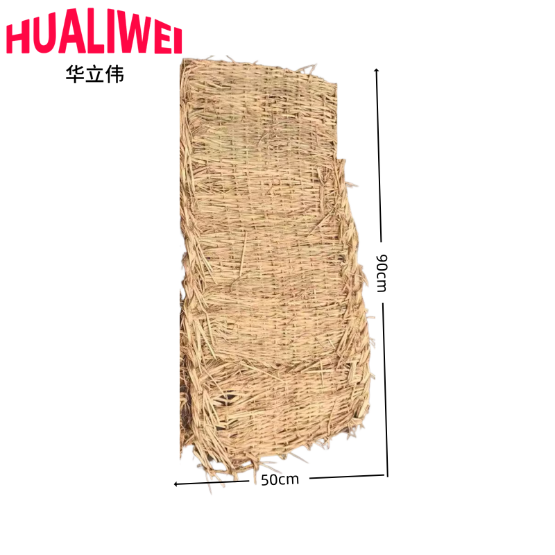 华立伟高清大图