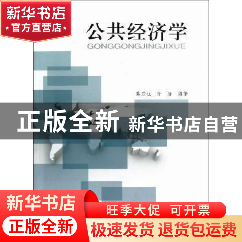 正版 公共经济学 葛乃旭,许洁编著 同济大学出版社 978756085043高清大图