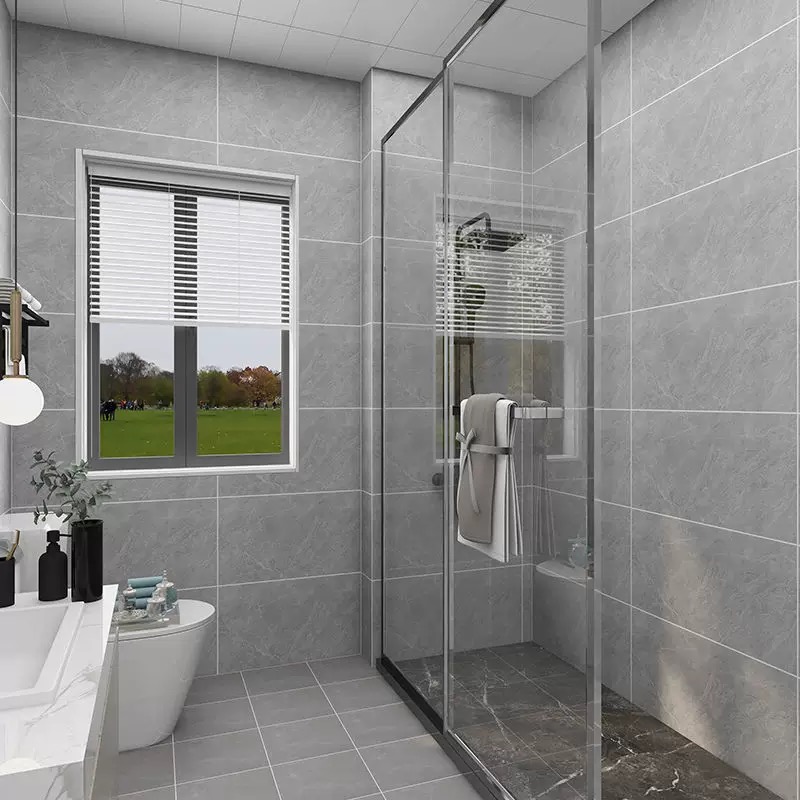 诚智旺 瓷砖 400*800mm/块高清大图