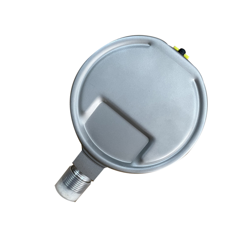 嘉禾长久 不锈钢耐温压力表检测型 Y100BF 块高清大图